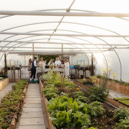 Elements Гостевой дом 4*