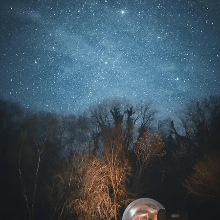 Elements