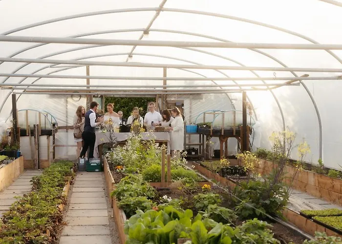 Elements Guest house 4*